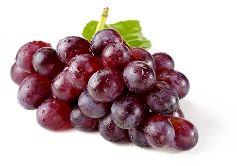 置顶信息一测试