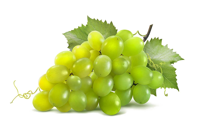 幻灯片信息三测试